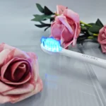 3-kevu-smile-sonic-toothbrush-with-dental-model